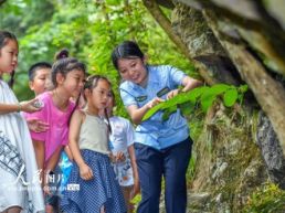 江西靖安：森林研学探索自然奥秘
