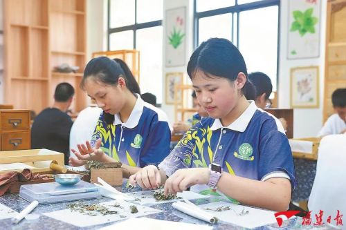 暑期研学:在行走中遇见更生动的教育 图片