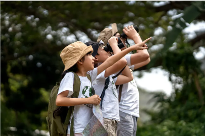 研学赛道进入“下半场”，比拼的重点从流量转向质量