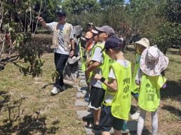 松江萌娃走进中国第一铅笔有限公司开展研学活动