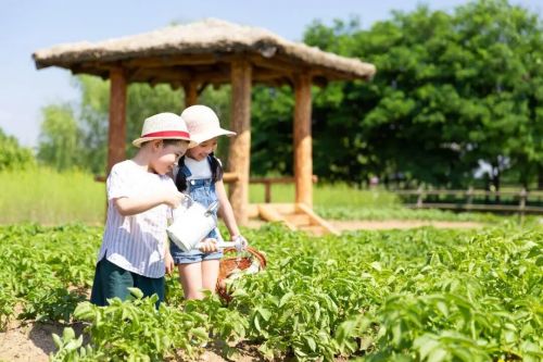科技游火爆，亲子游遇冷，今年暑期研学市场“冰火两重天”