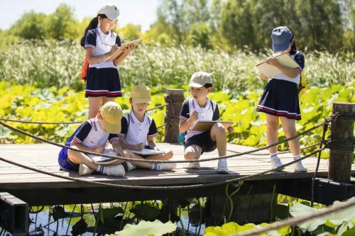 科技游火爆，亲子游遇冷，今年暑期研学市场“冰火两重天”