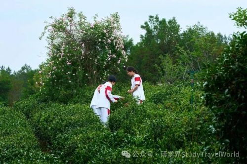 研学机构怎样让家长放心？