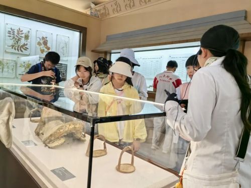 超七成受访青年,看好研学领域的发展前景 9285fe2c3ac37afa0b8b828d5945e1f7.jpg