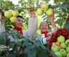 甘肃民乐：校园“丰收节”