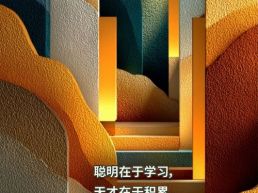 每日一句丨聪明在于学习