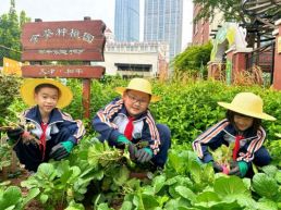 天津市四平东道小学解锁劳动教育新实践