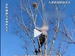 热点！这样的研学“课程”设计，你怎么看？