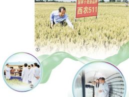 这个西北小城何以走出28位院士（科技视点）