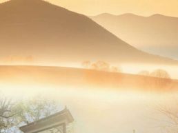 显后村：一个作家的采访掠影