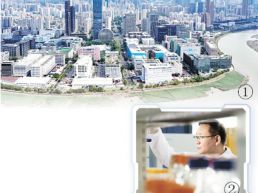 善协作的科创走廊有活力（科技自立自强·科创新空间）