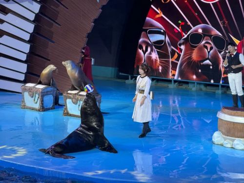 研学回顾 | 穿越蔚蓝世界，探索生命奇迹