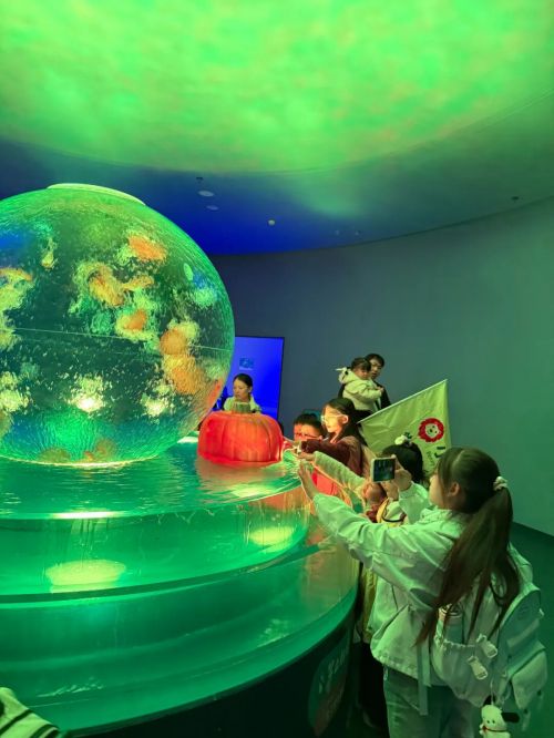研学回顾 | 穿越蔚蓝世界，探索生命奇迹