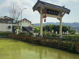 四川荣县：江南创客入川南 赵炎用陶茶笔墨绘就乡村振兴新图景