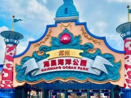 研学回顾 | 穿越蔚蓝世界，探索生命奇迹