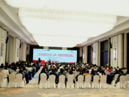 2025年全国少年儿童“双有”活动总结交流会举行