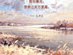 每日一句丨寥廓江天万里霜