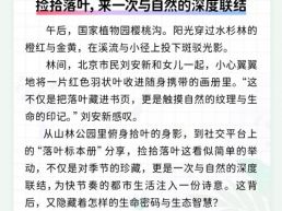 每日一闻丨捡拾落叶，来一次与自然的深度联结