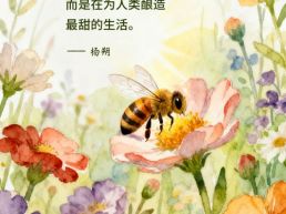 每日一句丨蜜蜂是在酿蜜，又是在酿造生活