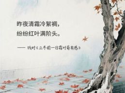 每日一句丨纷纷红叶满阶头