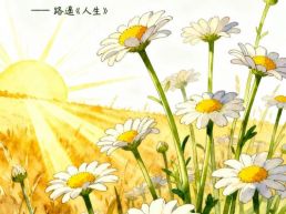 每日一句丨我们要热情地活下去