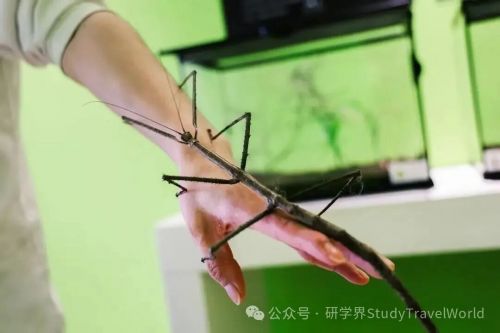 佛山首个秋假来了！机票预订量暴涨，引爆淡季旅游市场