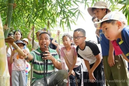 佛山首个秋假来了！机票预订量暴涨，引爆淡季旅游市场