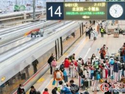 高铁研学专列：千名师生乘高铁南下丹江口溯源