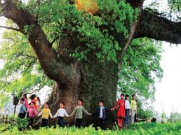 朱虹：《天工开物》成书江西新余的考证与启示