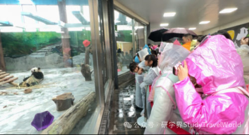 集中徒步、景区研学、免费托管……四川宜宾学生“花式”度过首个秋假