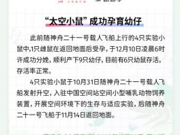 每日一闻丨“太空小鼠”成功孕育幼仔