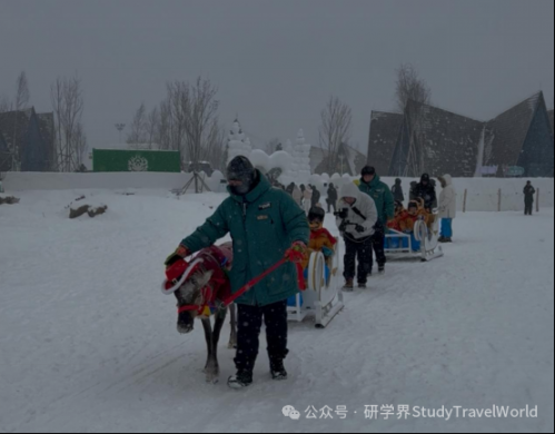 “小砂糖橘”长白山研学之旅圆满结束 图片