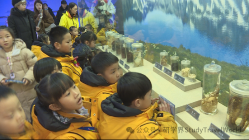 “小砂糖橘”长白山研学之旅圆满结束 图片