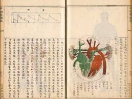 足不出户畅游古籍海