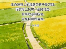 每日一句丨有所取必有所舍