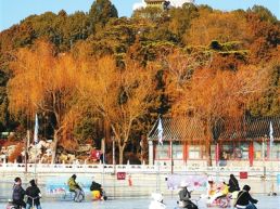 冰场迎客 乐享冬日