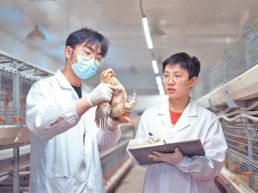 科技小院，扎根乡土茁壮生长（深阅读）