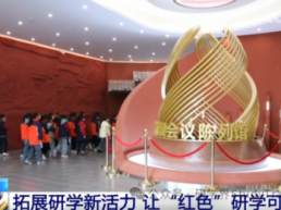 让“红色”研学可感可知、触摸历史玩转非遗……研学游激发文旅市场“新活力”
