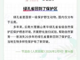 每日一闻丨绿孔雀回到了保护区