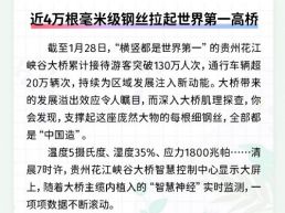 每日一闻丨近4万根毫米级钢丝拉起世界第一高桥