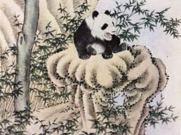 古籍中大熊猫名称探析