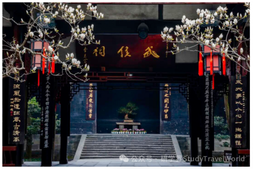 春假连放6天！成都15条精品研学线路等你解锁