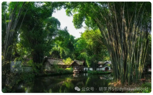 春假连放6天！成都15条精品研学线路等你解锁