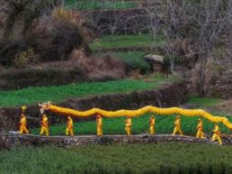 新春走基层 | 跟着记者看文化特派员“特”在哪