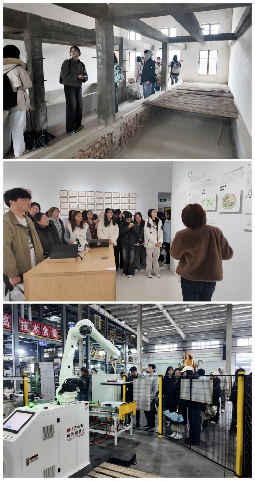 花韵・探春｜百名高校学子走进沙洋，共赴2026年湖北油菜花节研学之约