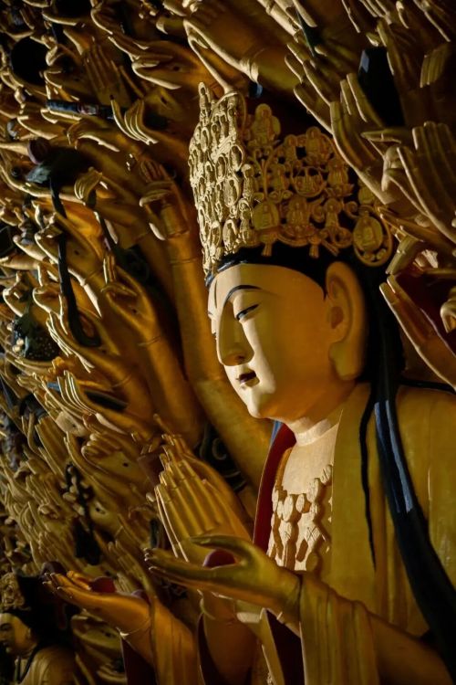 南北对话·石语千年｜云冈&amp;amp;amp;amp;amp;amp;大足双窟研学