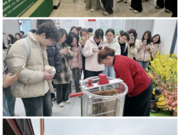 花韵・探春｜百名高校学子走进沙洋，共赴2026年湖北油菜花节研学之约