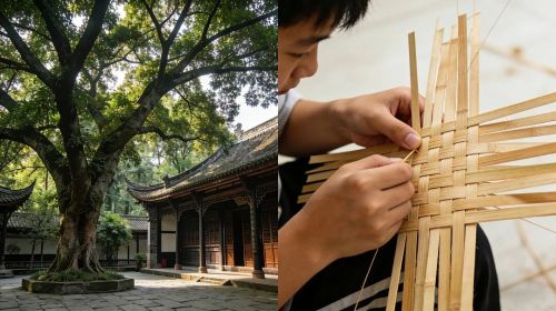 从乐山出发，读懂四川，春季研学线路来啦