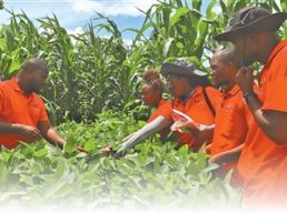 从“一块田”走向“万里原”（相知无远近）