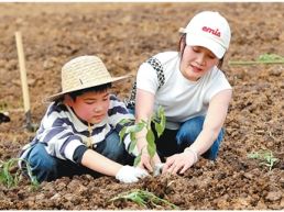 共享菜园受欢迎